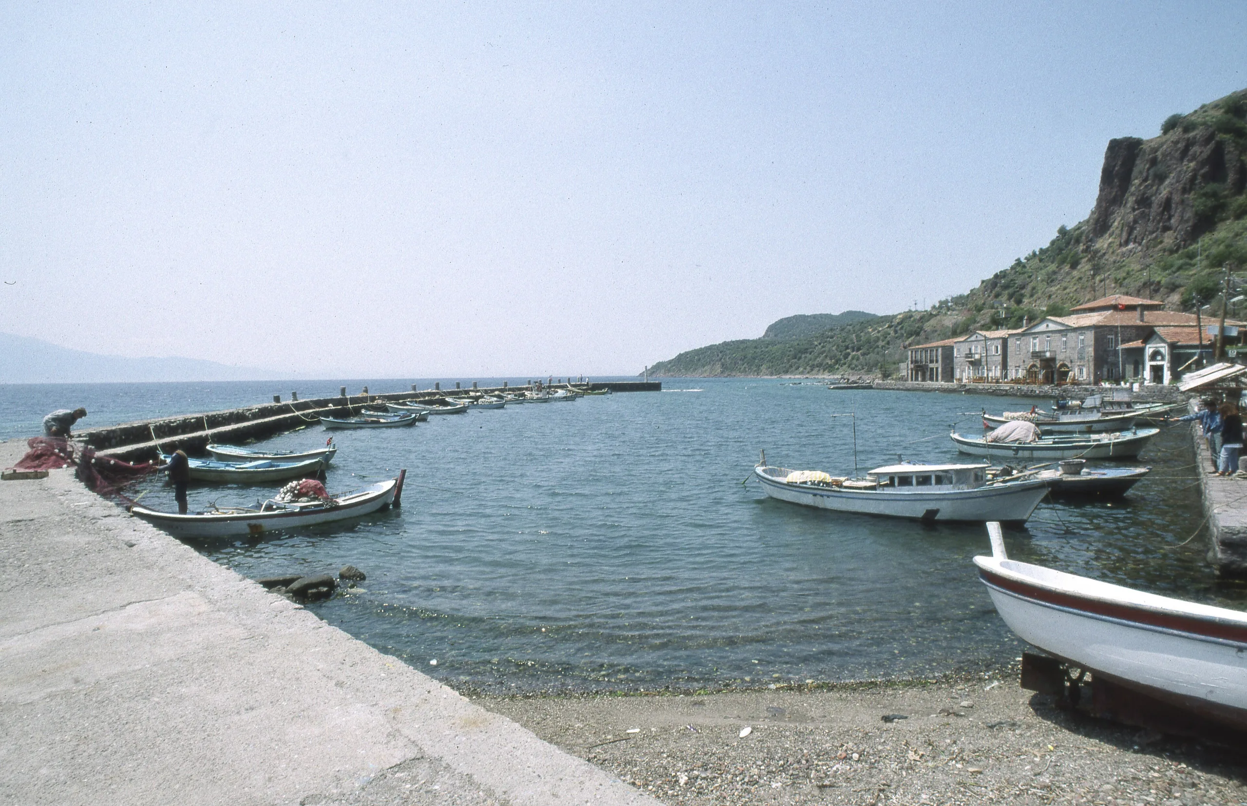 Assos