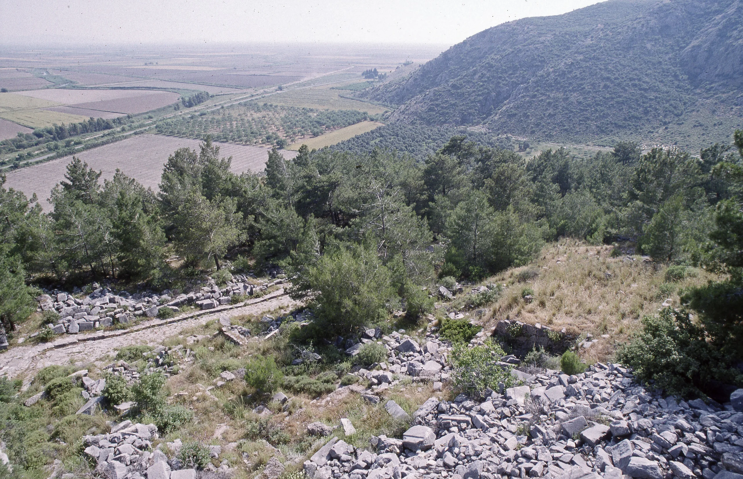 Priene