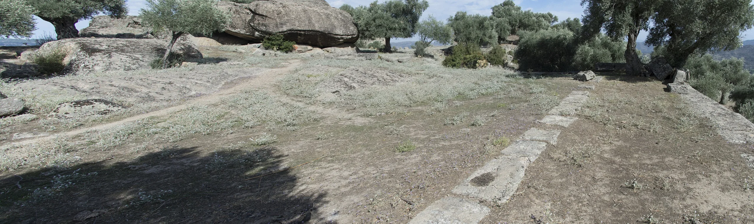 Alinda
