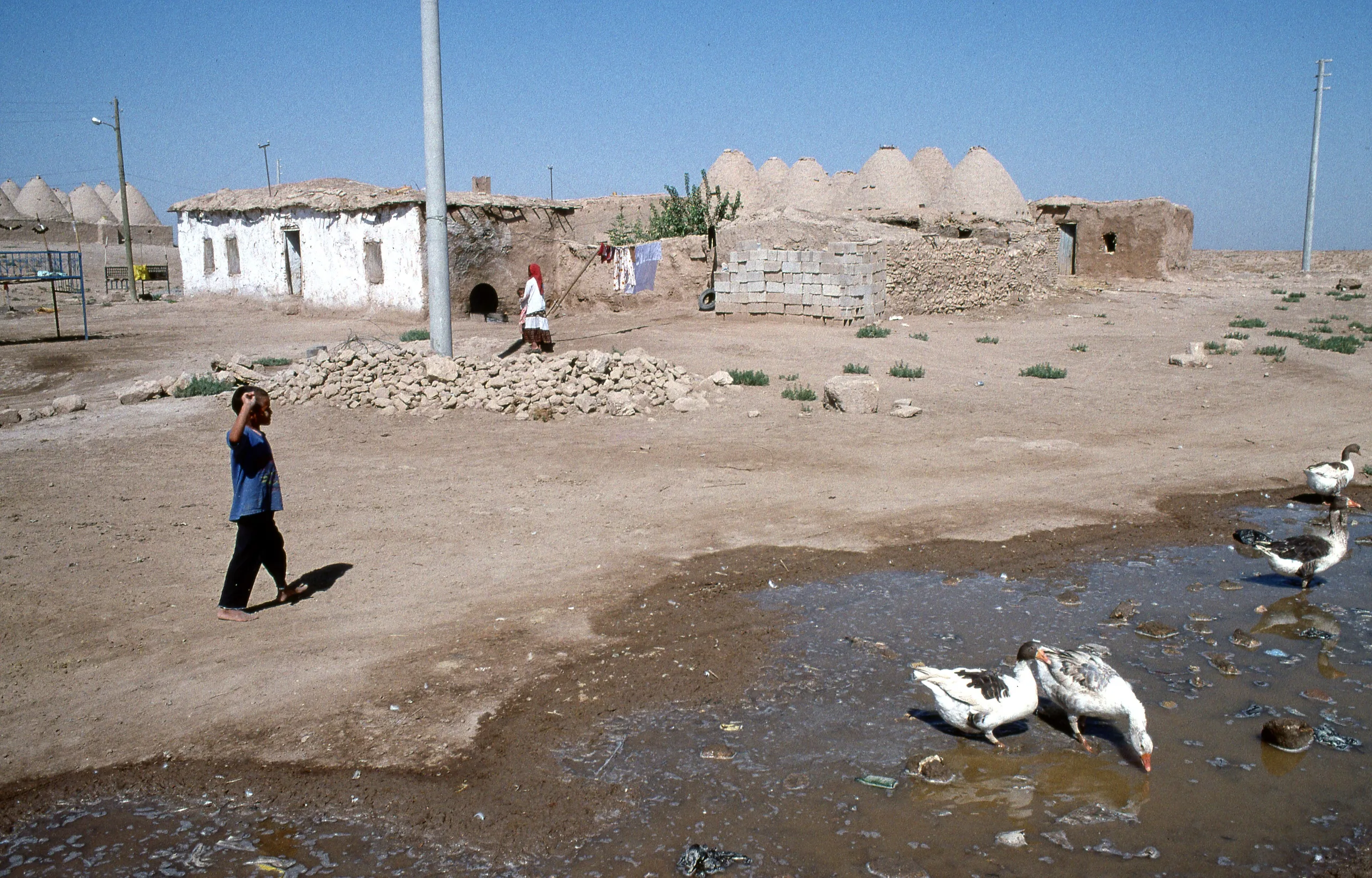 Harran