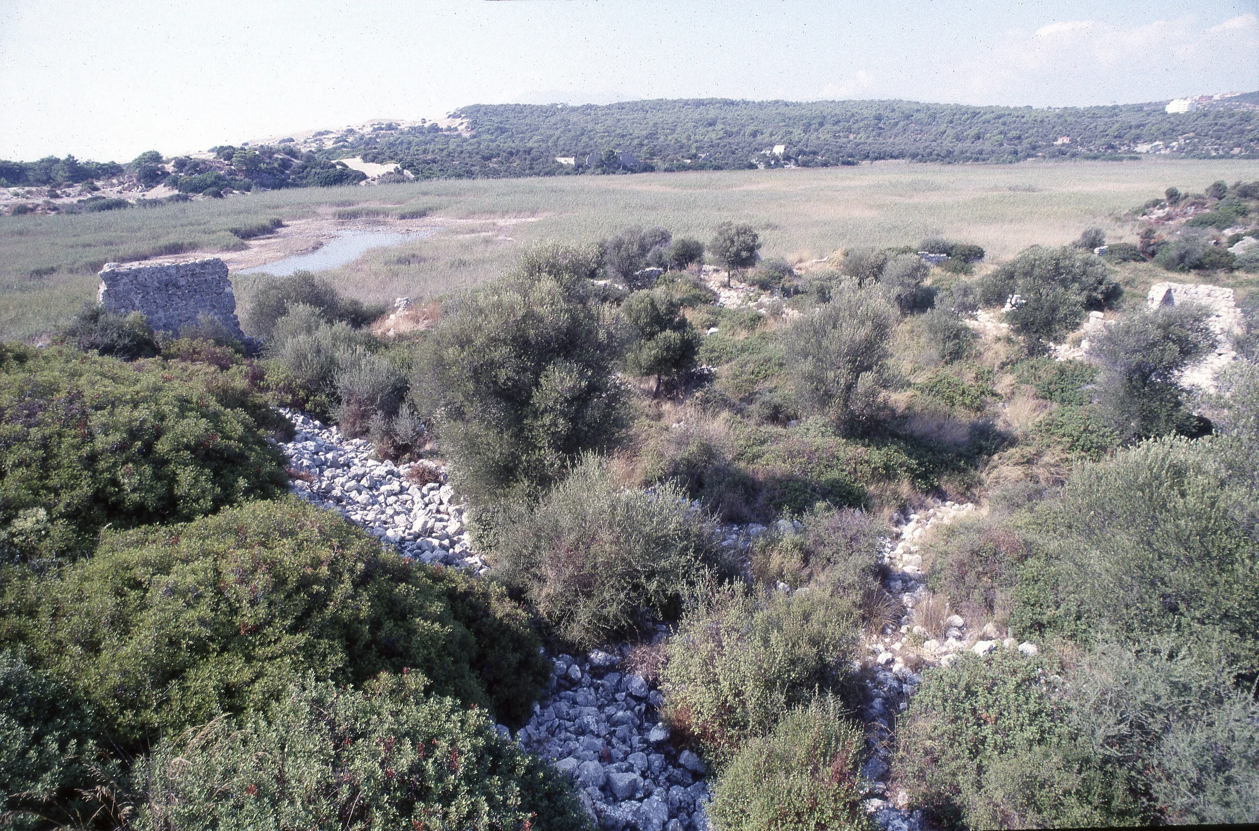 Patara
