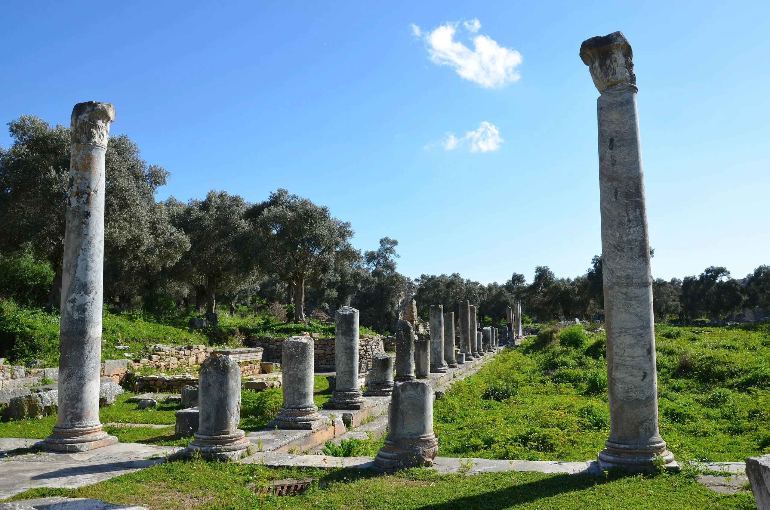 İasos